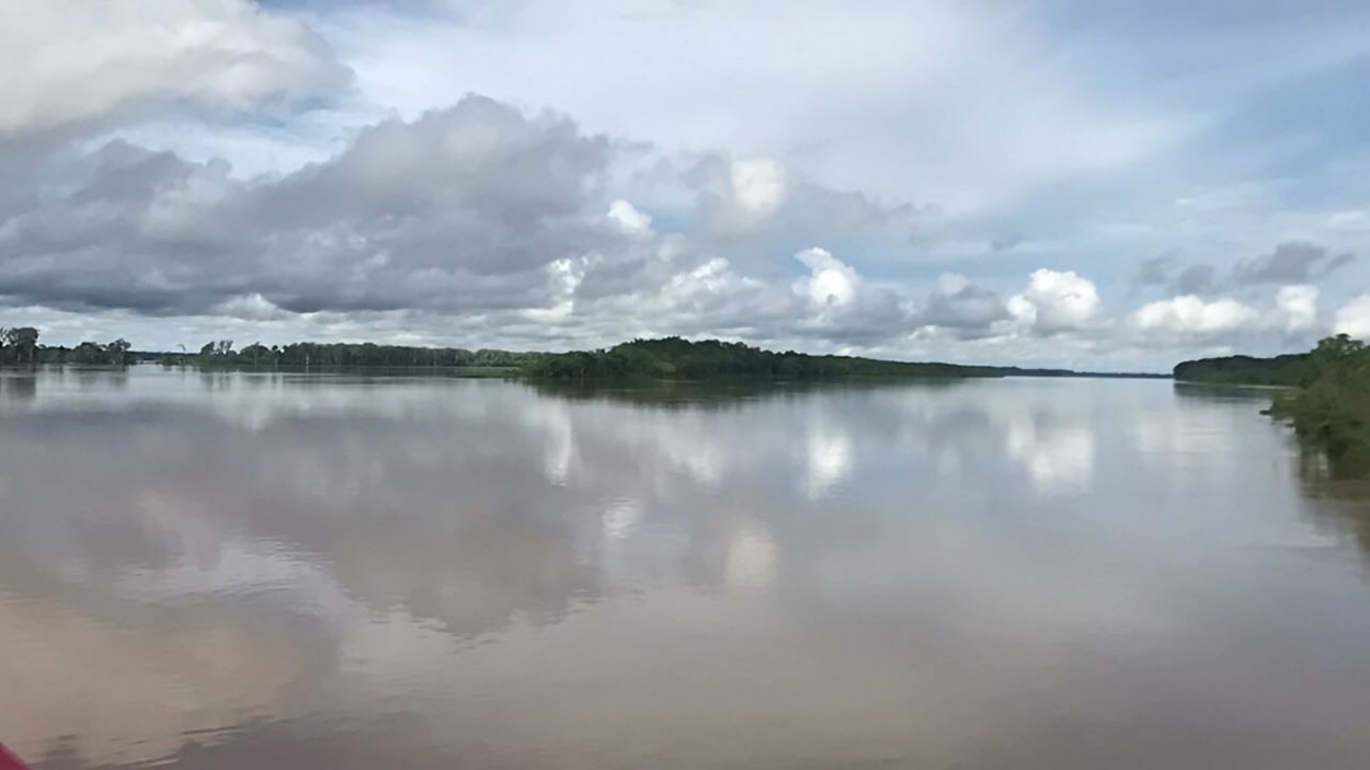 "Amazonas" de Yoxi Mosqueda