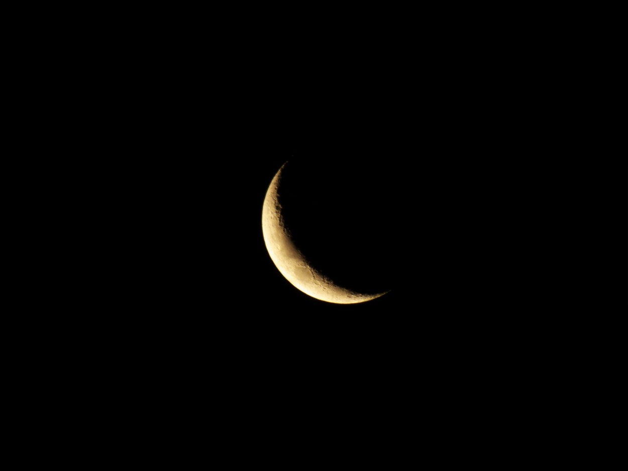 "Luna creciente de febrero... sin carnaval!" de Juan Fco. Fernndez