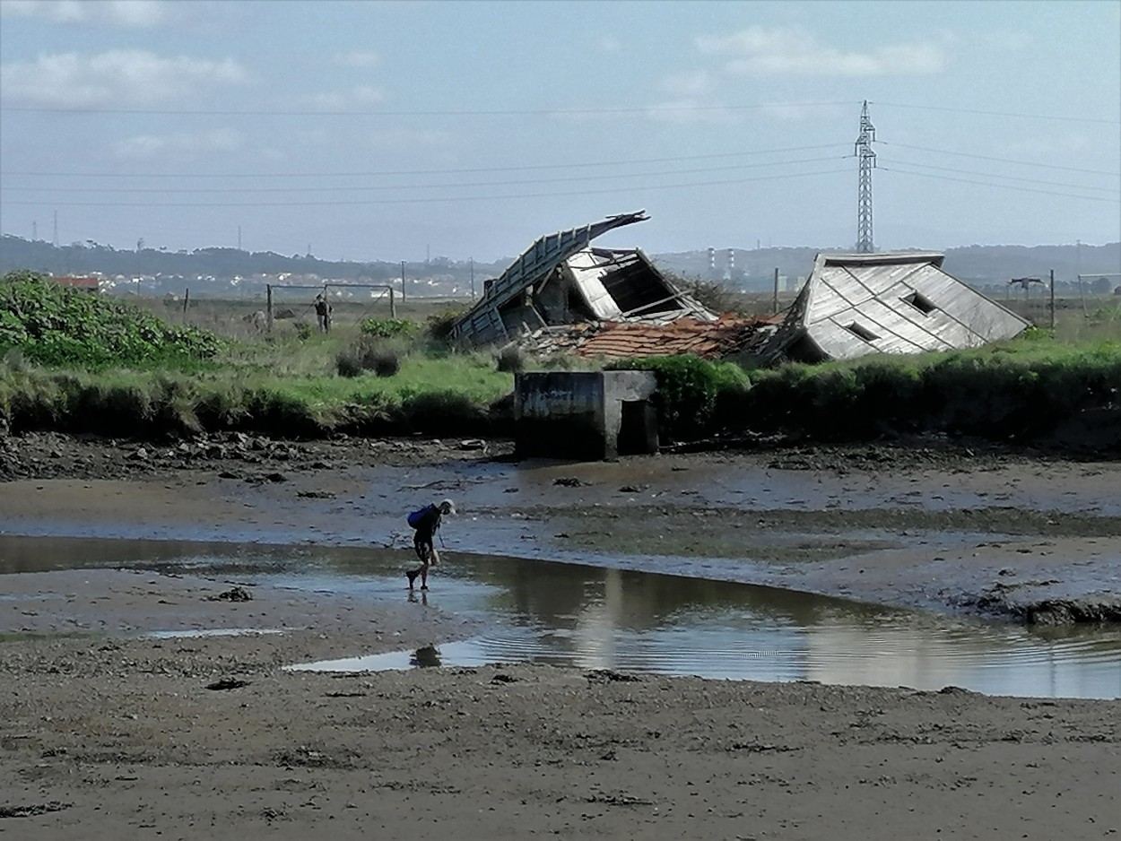 "A bonana depois da tempestade" de Maria Cristina de Castilho Brda