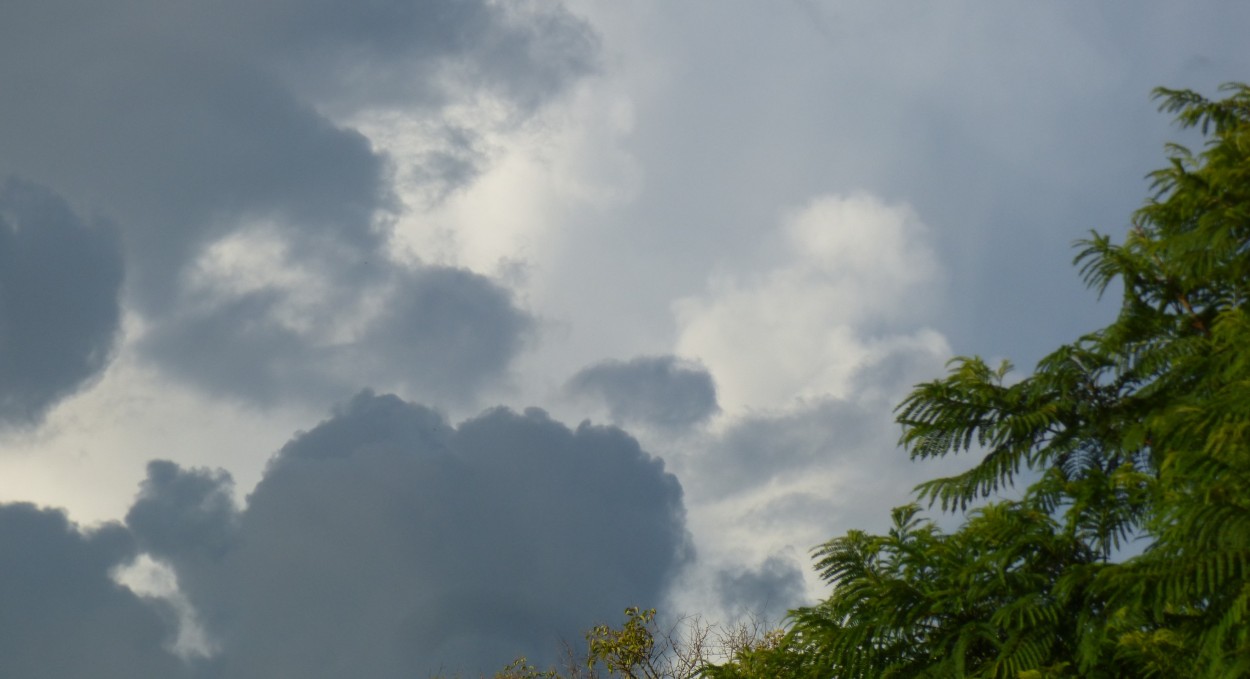 "` Nubes azules `" de Graciela Edith Flocco