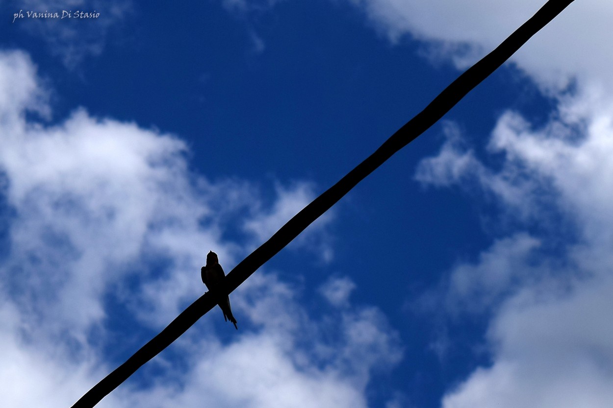 "En el cielo..." de Vanina Di Stasio