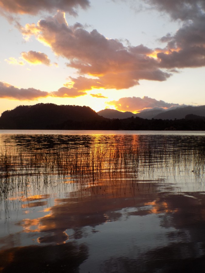 "Atardecer en Pehuenia" de Silvina Errotabehere