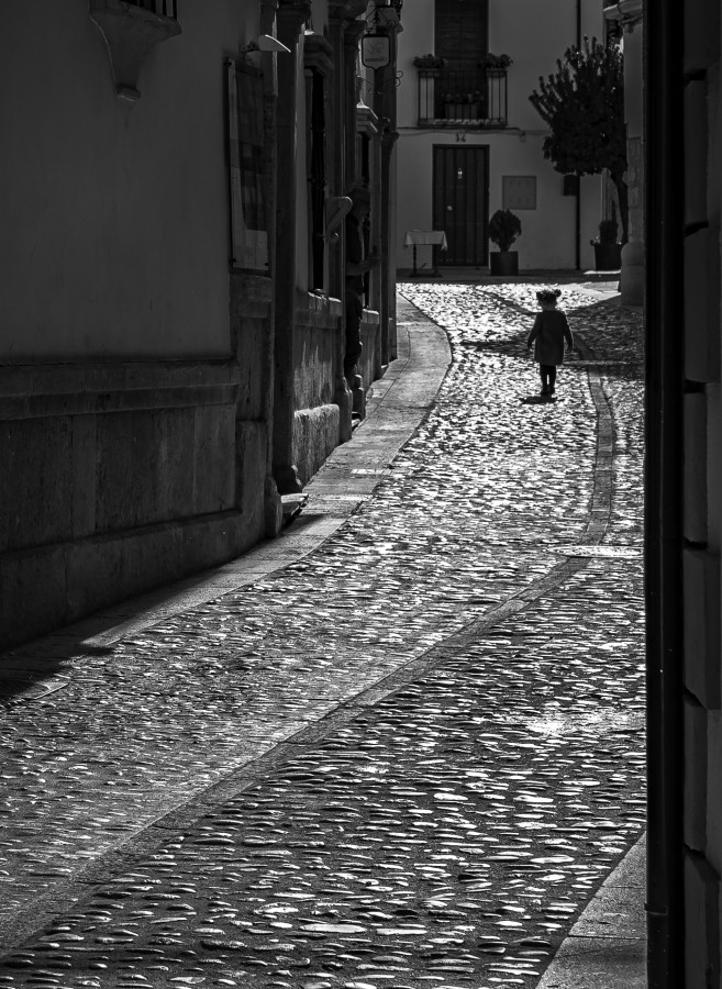 "El camino a casa..." de Carlos Cavalieri