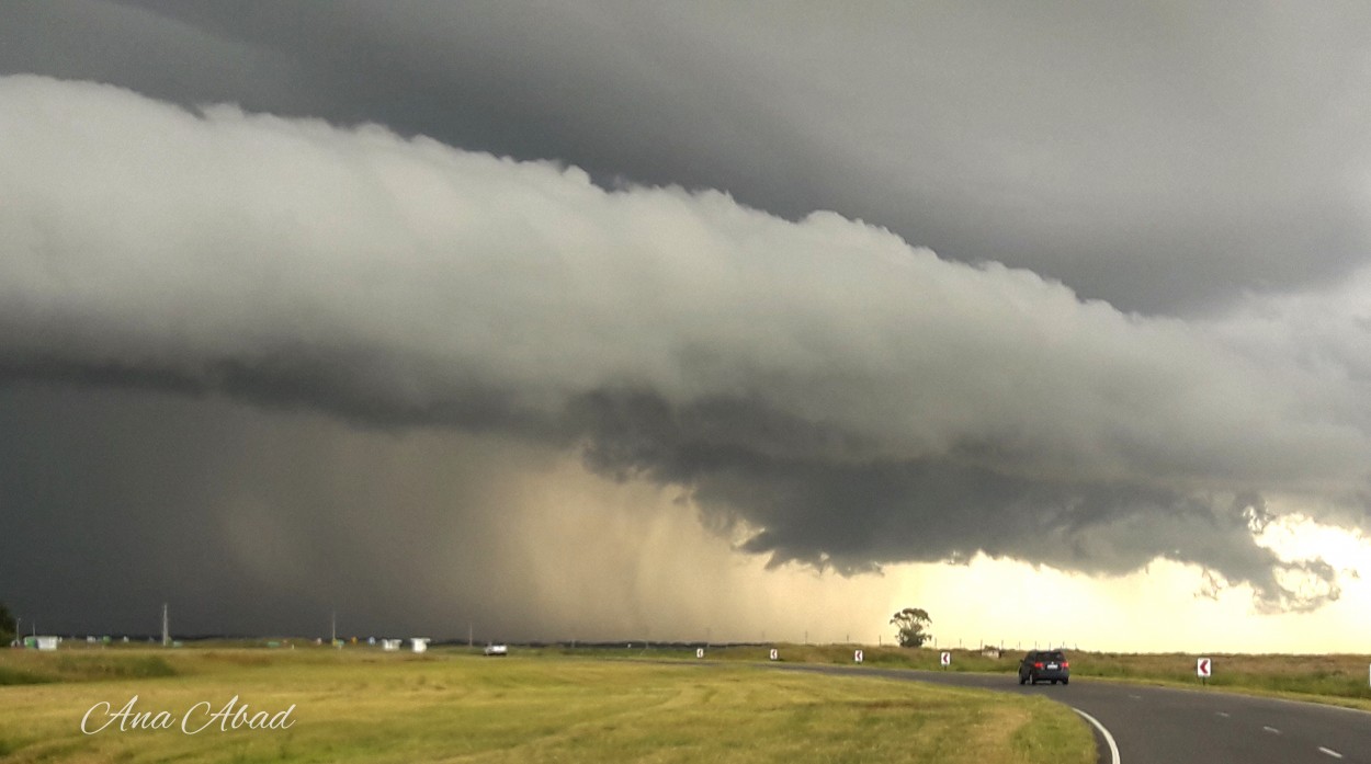 "Hacia la Tormenta" de Analia Abad