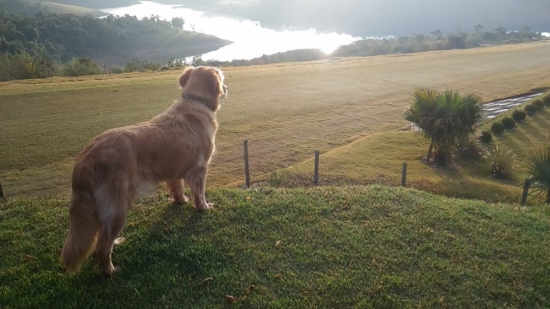 "Esperando o pouso do avio do patro" de Decio Badari