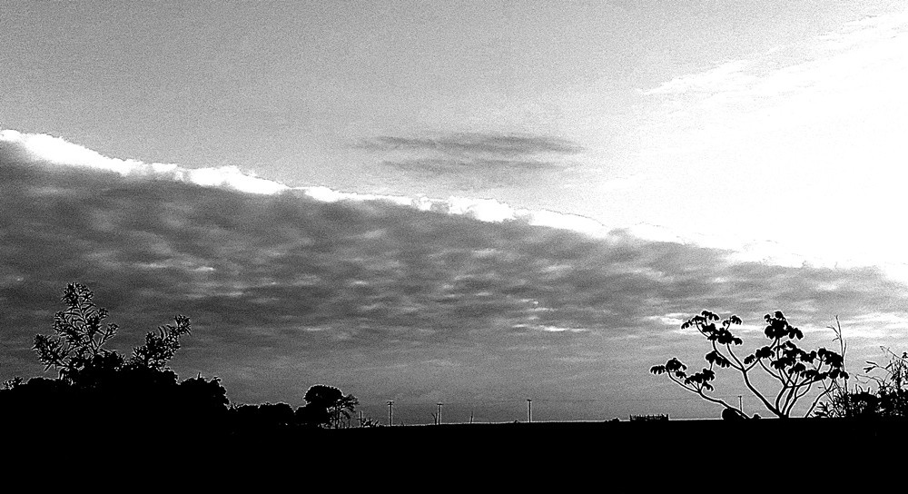 "De dentro do carro, uma diagonal ao fim da tarde" de Decio Badari