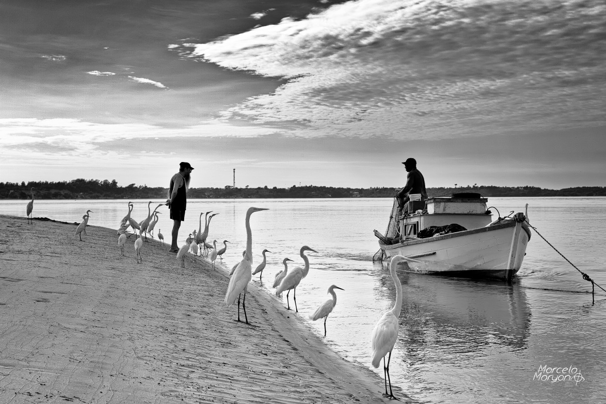 "Harmonia" de Marcelo Moryan