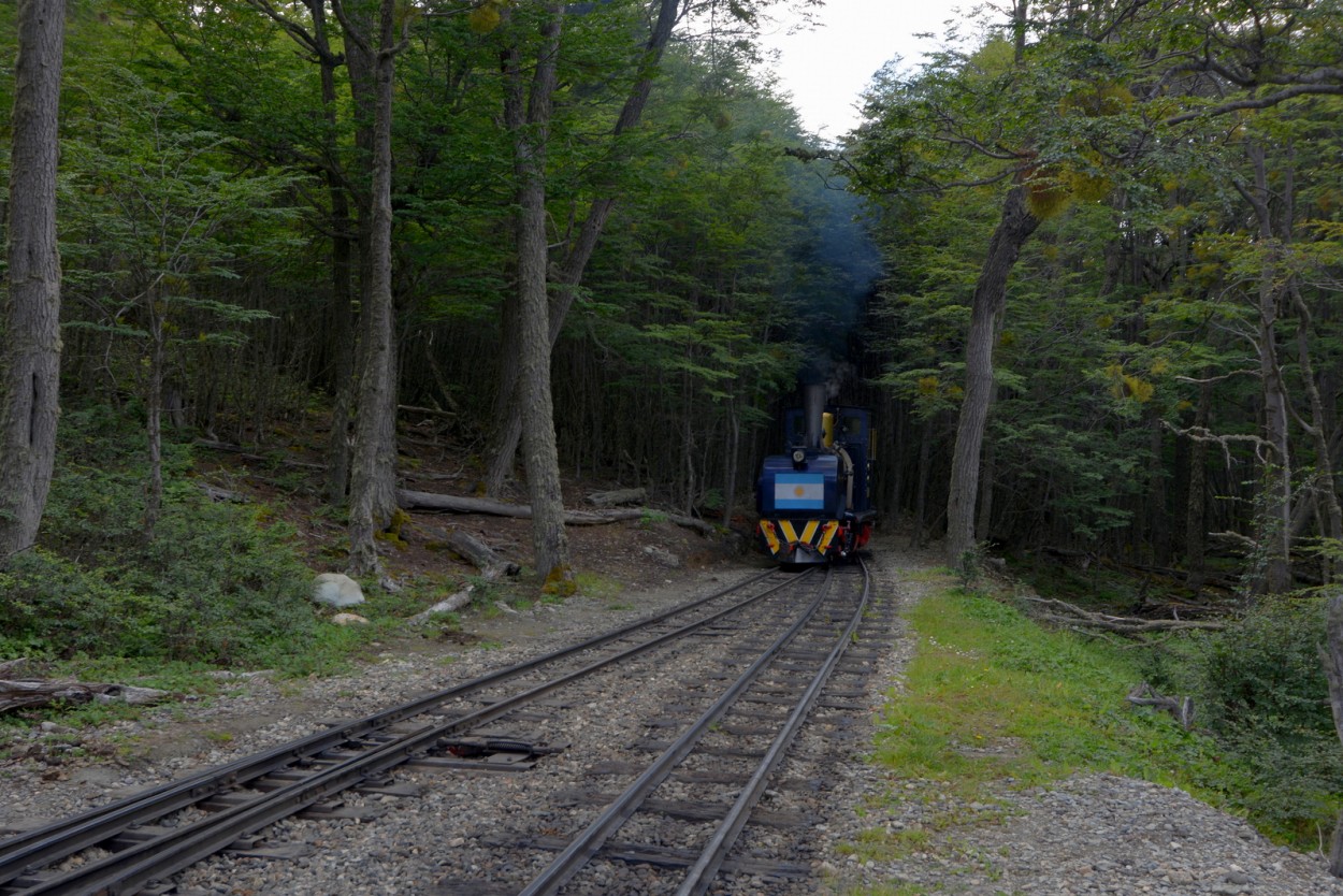 "Tren del Fin del Mundo. Tierra del Fuego." de Carlos E. Wydler