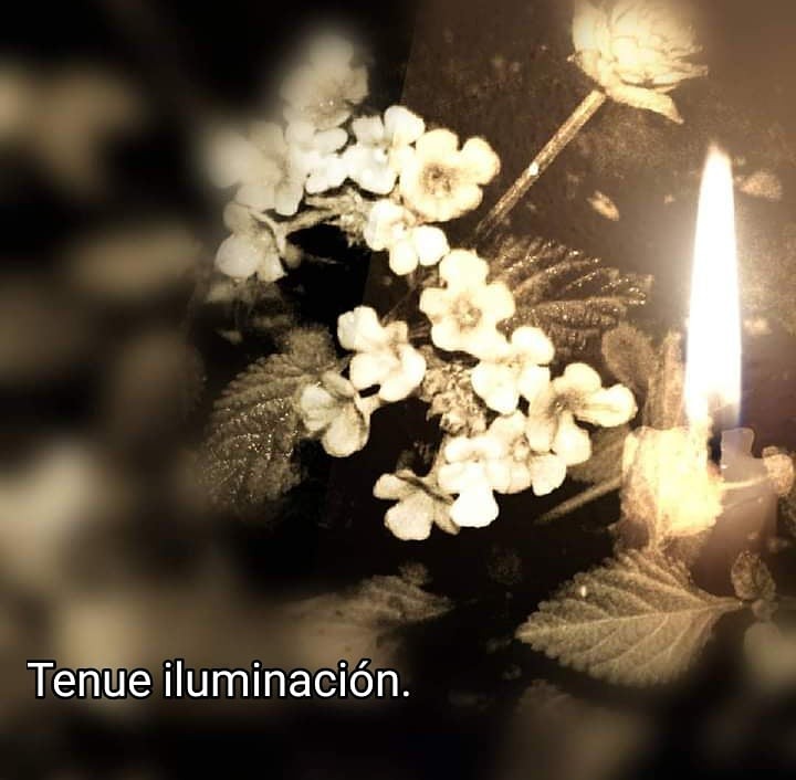 "Tenue iluminacin" de Ana Mara Spoor