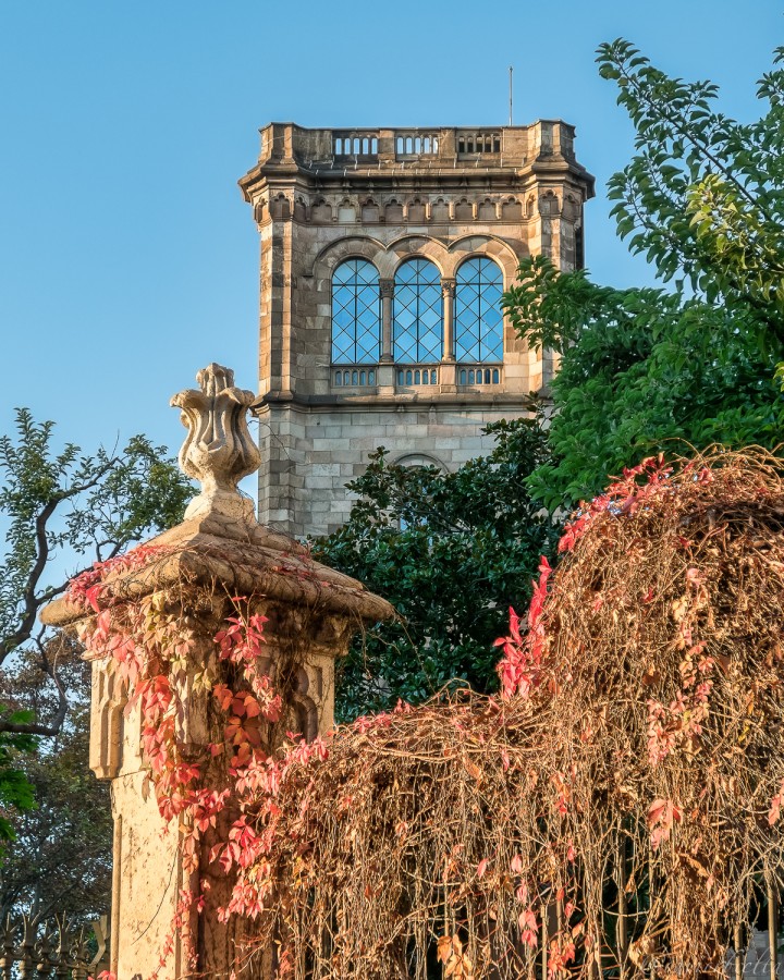 "Universitat de Barcelona" de David Roldn