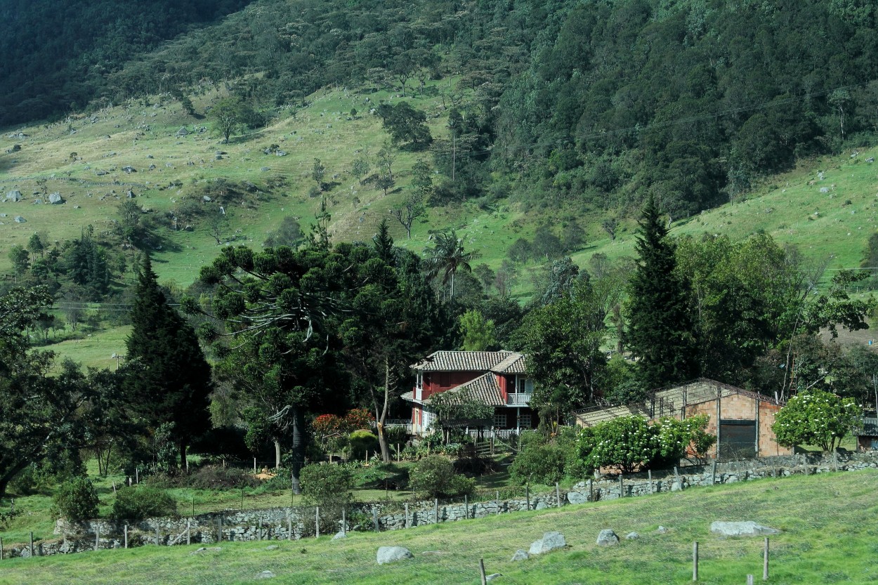 "LA CASITA" de Roco Rueda Carvajal