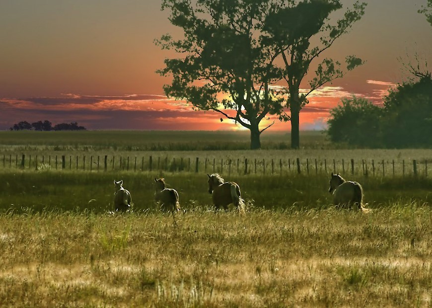 "Amaneciendo" de Daniel Colmea