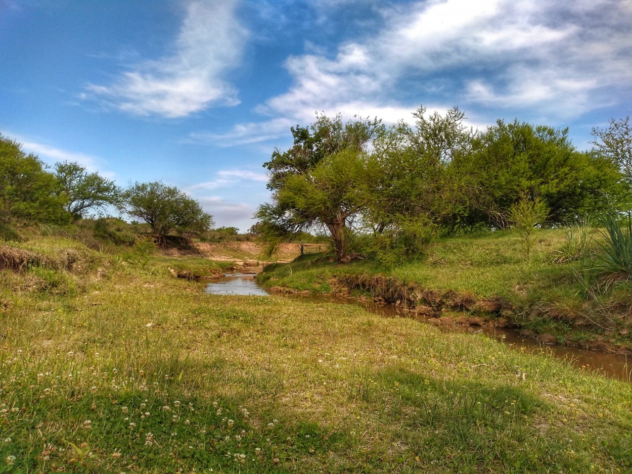 "El arroyo" de Florencia Alvarez