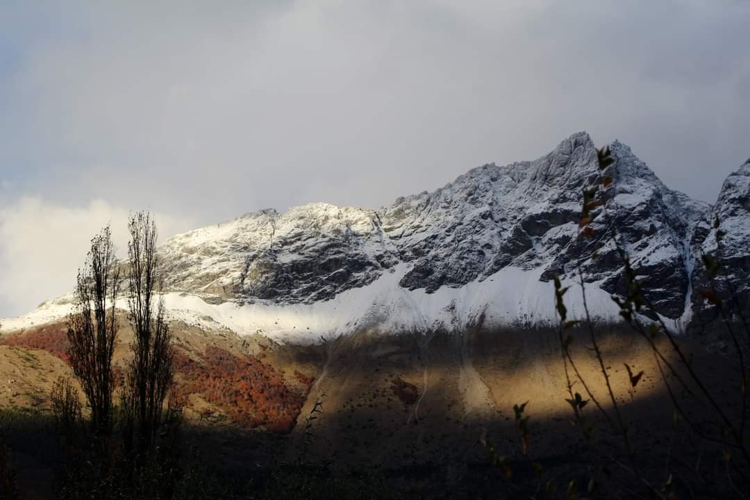 "Otoo/invierno" de Alejandra Cormick