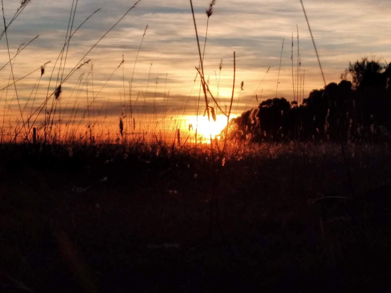 "Amanecer campestre.." de Graciela Allen