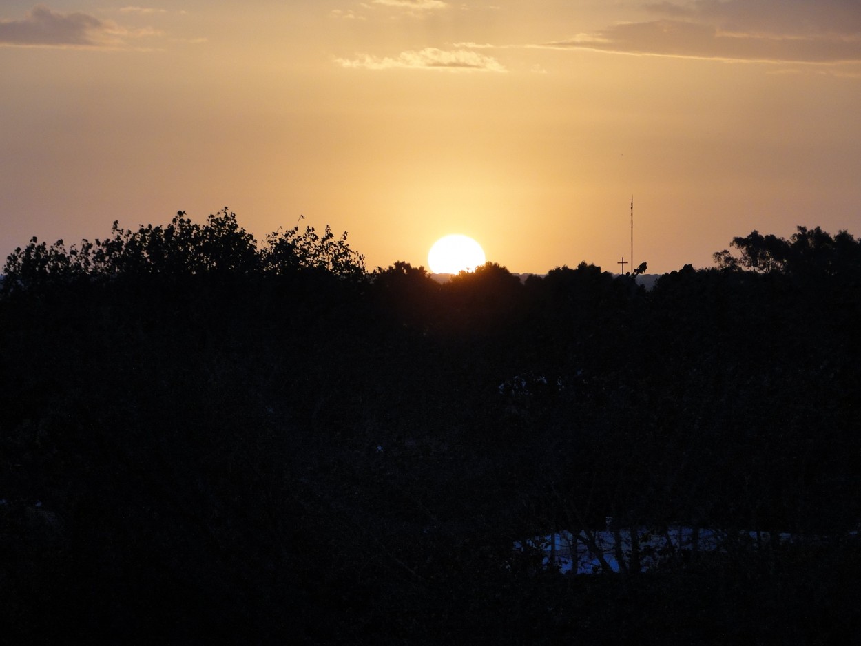 "Ver caer el sol." de Jorge Carlos Tarditi (carlos)