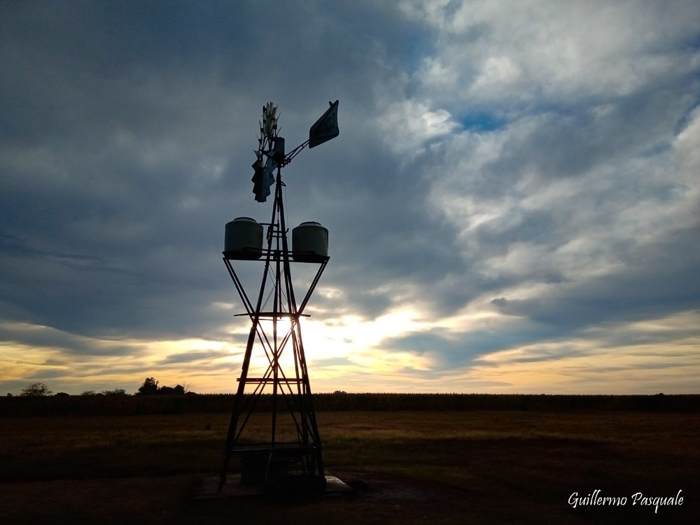 "De Campo" de Guillermo Daniel Pasquale