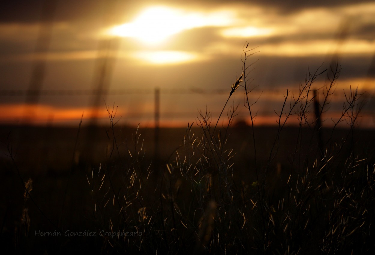 "Atardecer de otoo fro" de Hernn Gonzlez Crapanzano