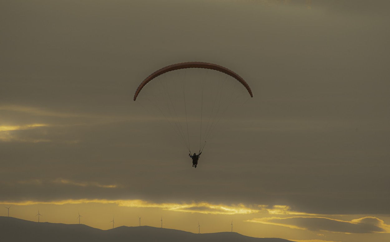 "vuelo en libertad..." de Carlos Cavalieri