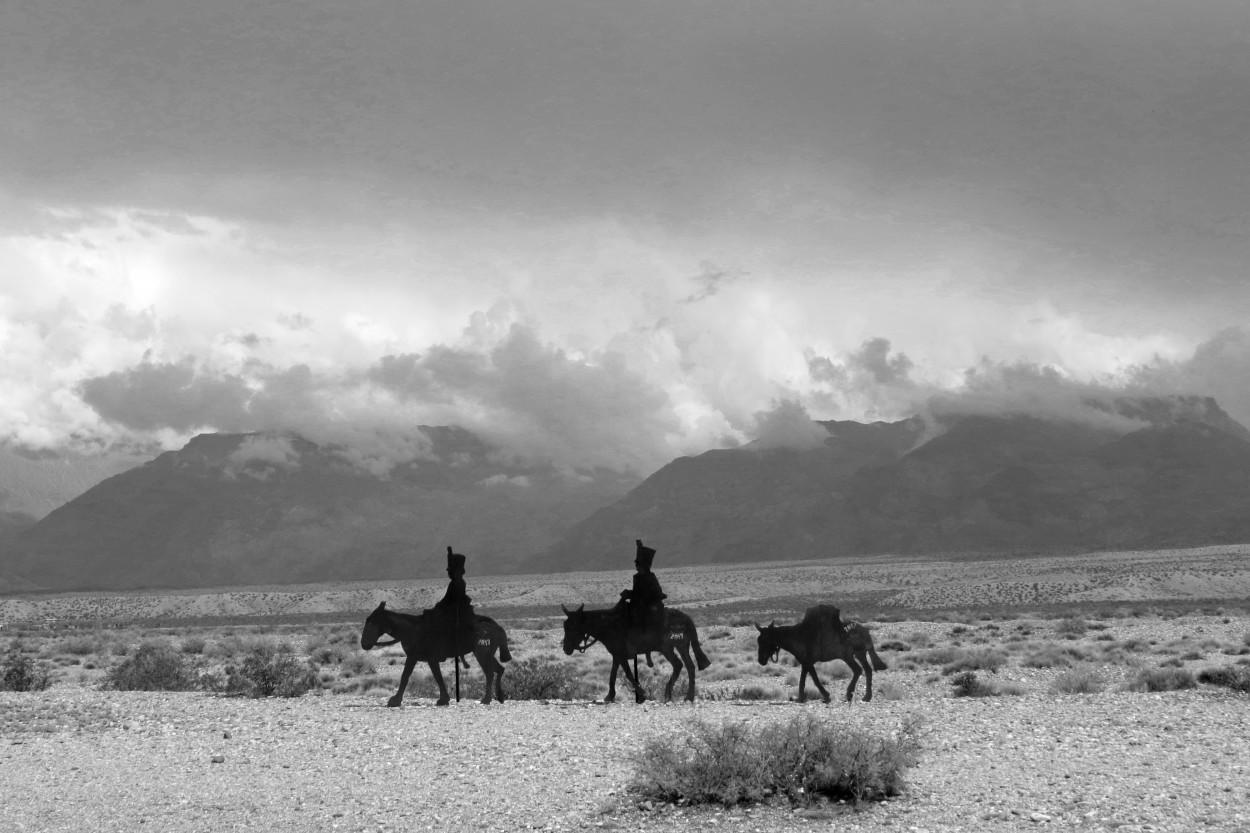 "`Camino hacia la libertad`" de Iris Elizabeth Scotto