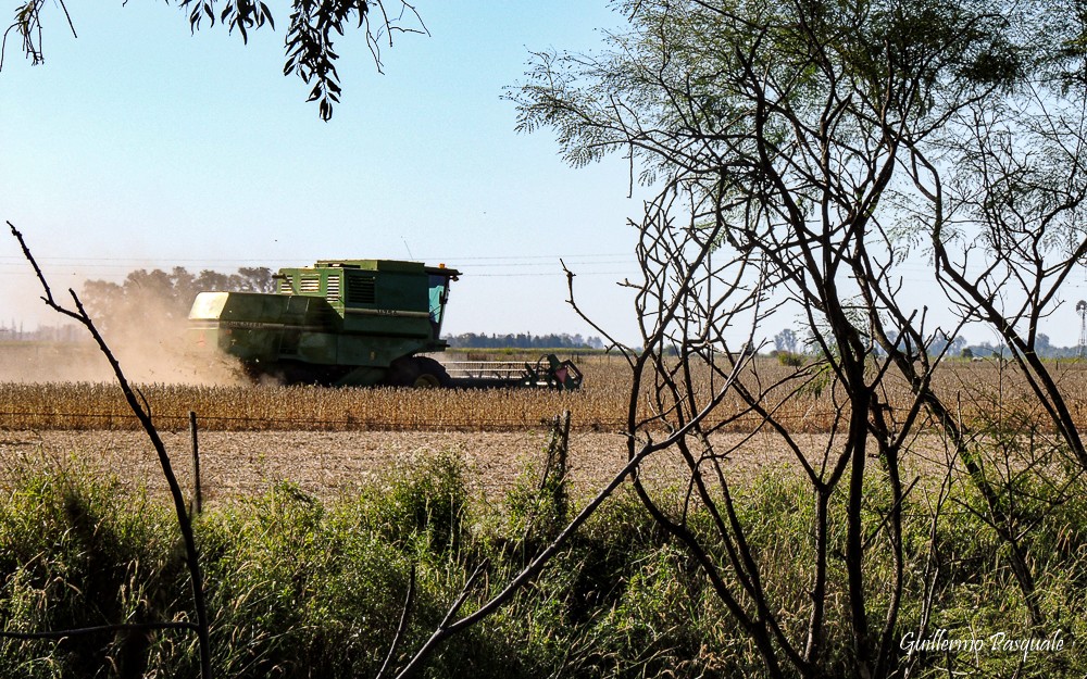 "Trabajo de Campo" de Guillermo Daniel Pasquale