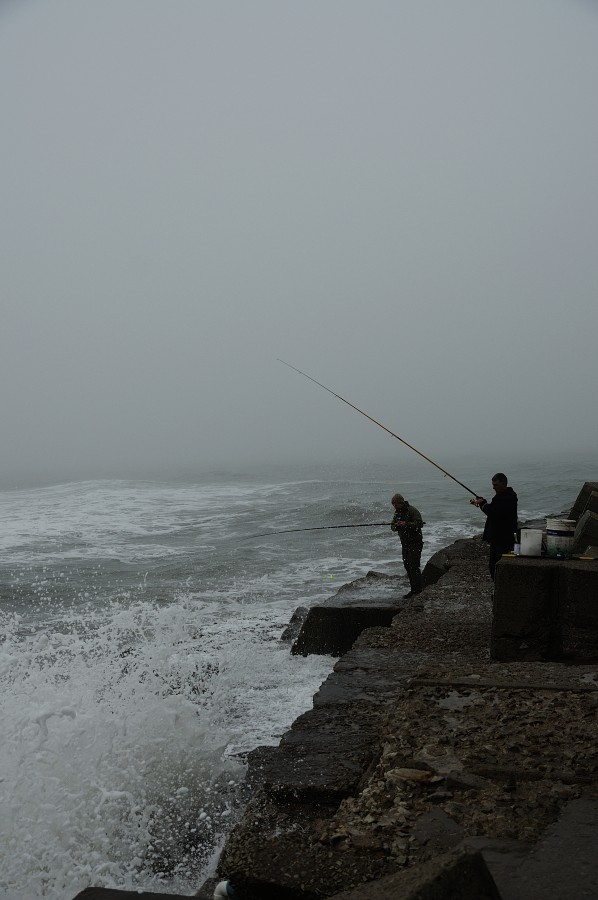 "Pescadores de Tormentas" de Patricia Briglia