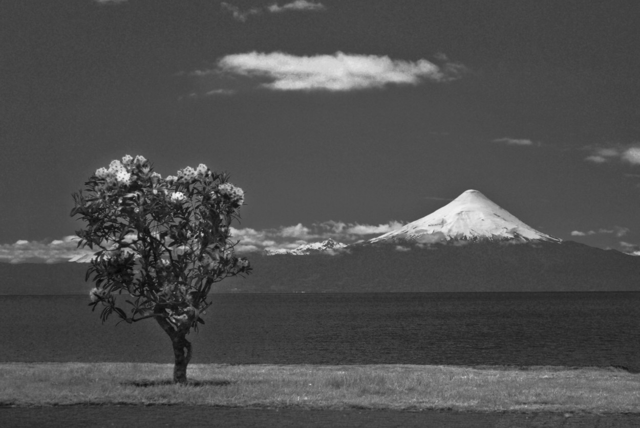 "Volcn Osorno" de Osvaldo Sergio Gagliardi