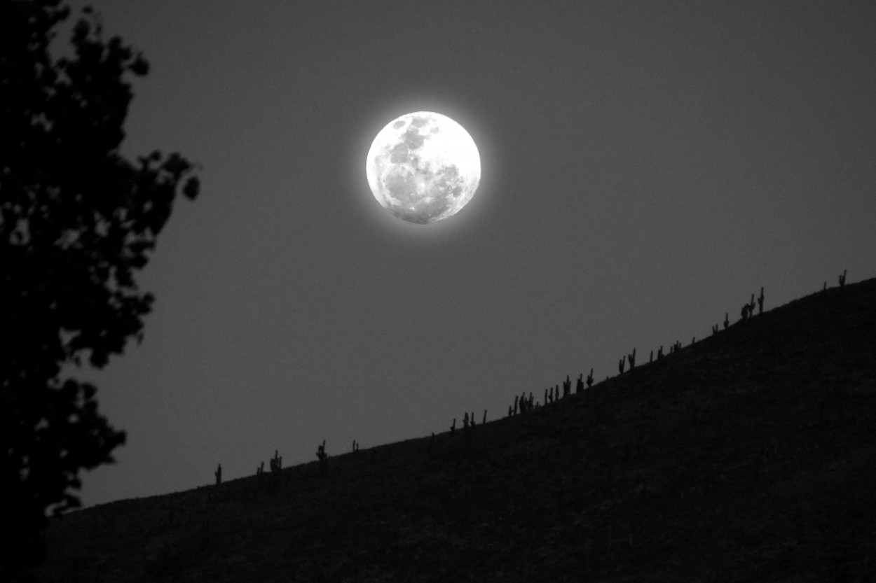 "Los penitentes de la luna..." de Juan Carlos Barilari