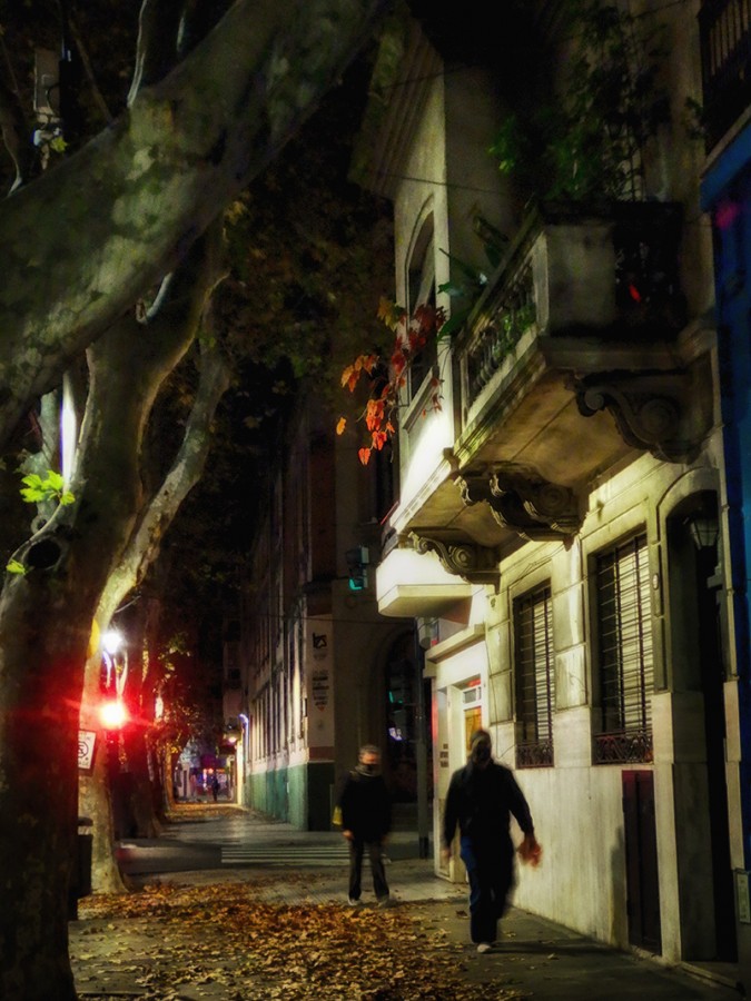 "Caminantes nocturnos" de Mercedes Orden