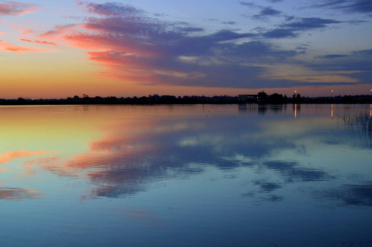 "Entre dos cielos." de Ana Rosalia Scott