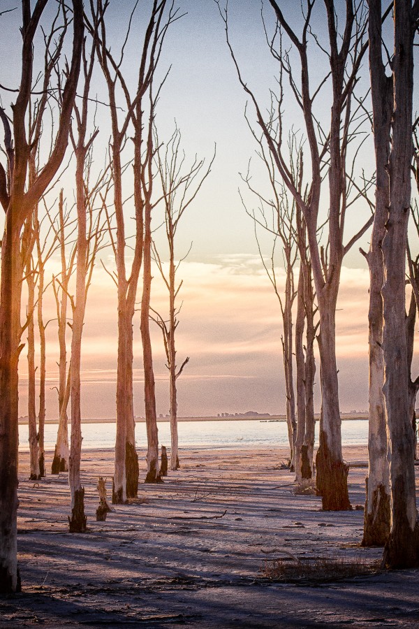 "Camino al atardecer" de Susana Garcia Hillcoat