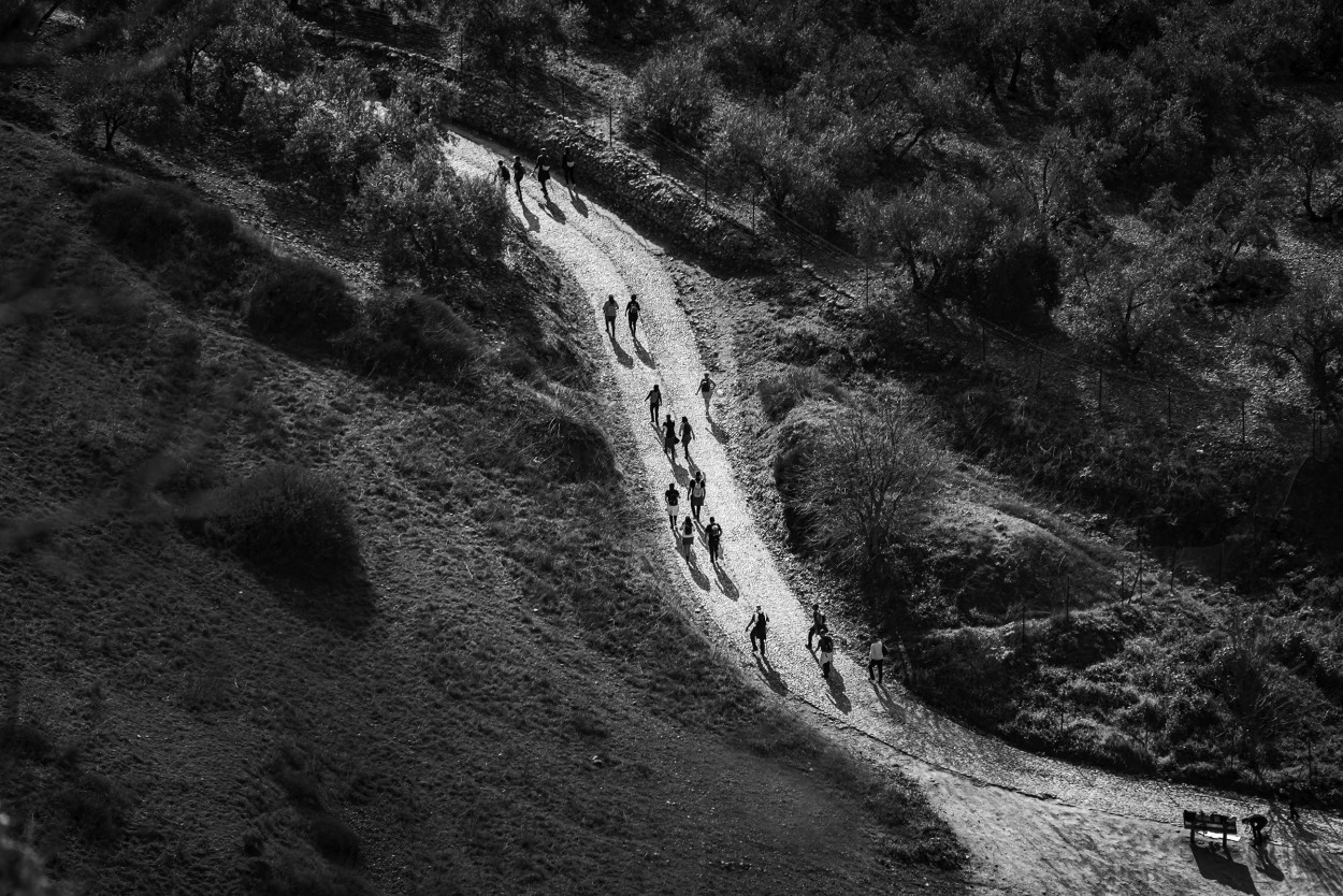 "todos por el mismo camino..." de Carlos Cavalieri