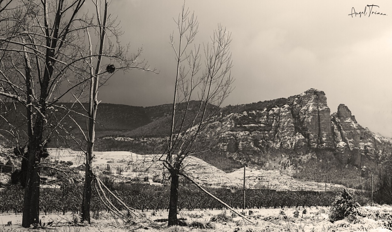 "Paisaje" de Angel Triana