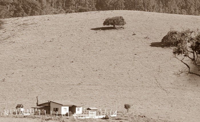 "Todos querem uma casa no campo, e eu tambm!" de Decio Badari