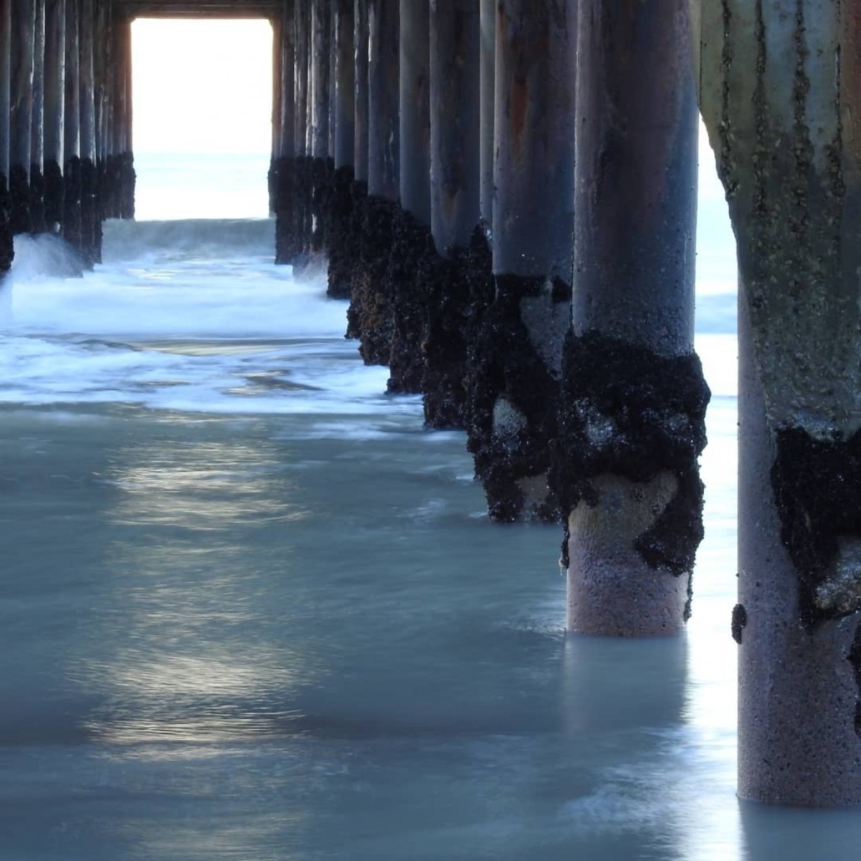 "El Muelle" de Florencia Greco Elas