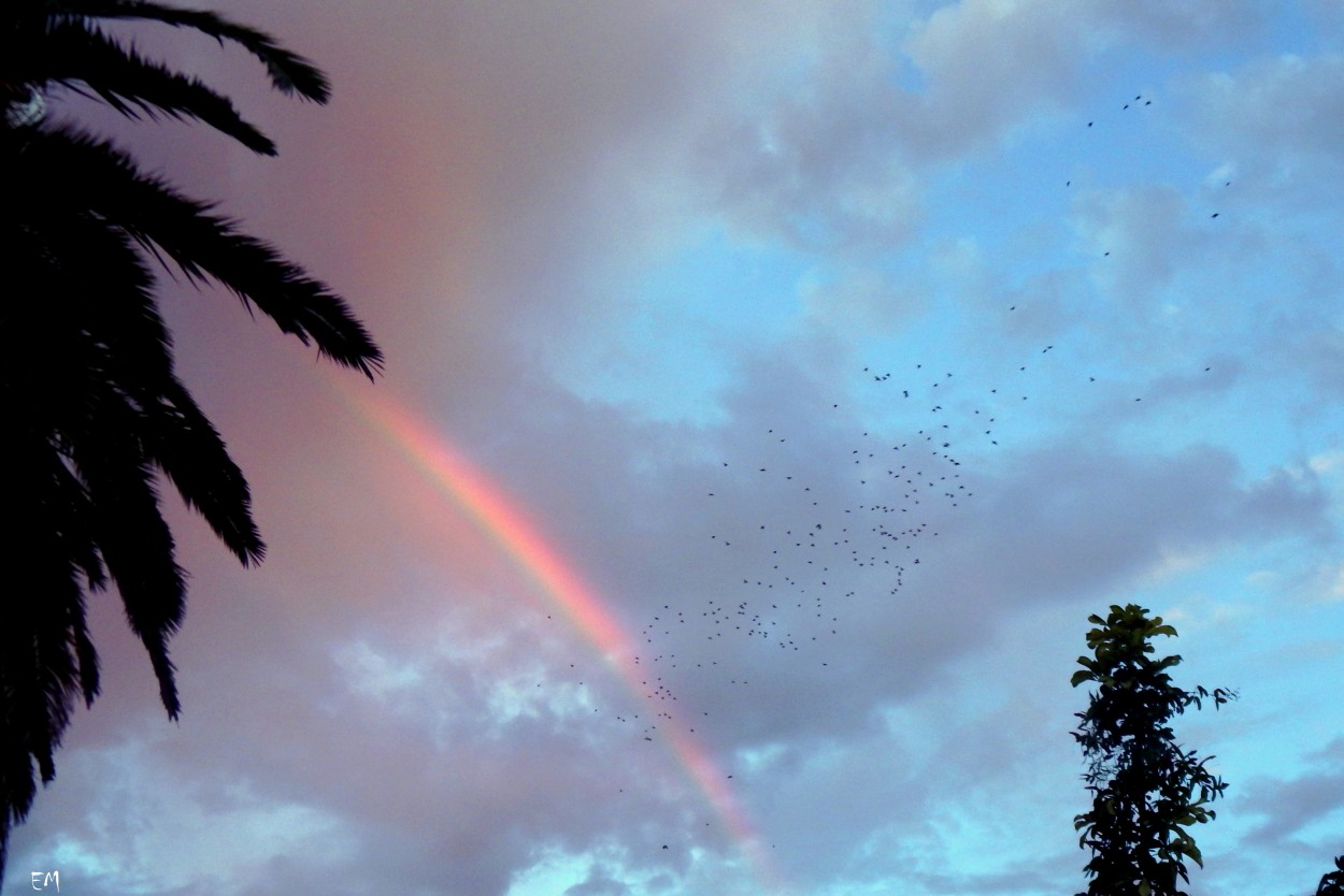 "Un cielo maravilloso" de Ester Francisca Macagno