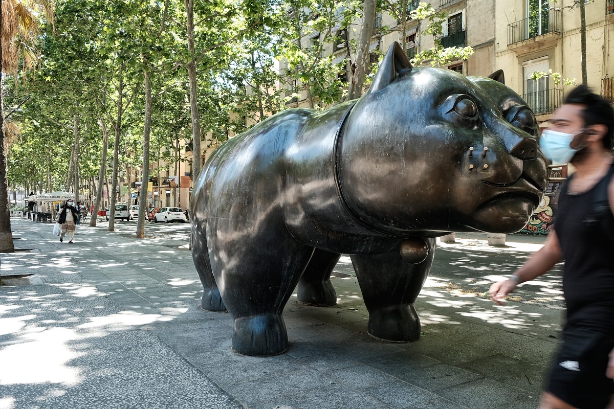 "Rambla del Raval" de Roberto Jorge Escudero