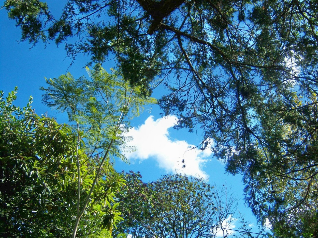 "nubes" de Beatriz Di Marzio