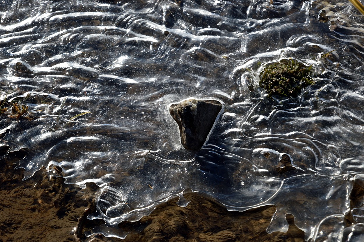 "el hielo en la piedra o la piedra en el hielo?" de Marcos Pedro Escudero