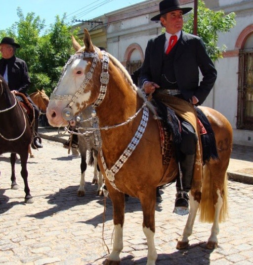 "Tradicion" de Amparo Josefina Maggi