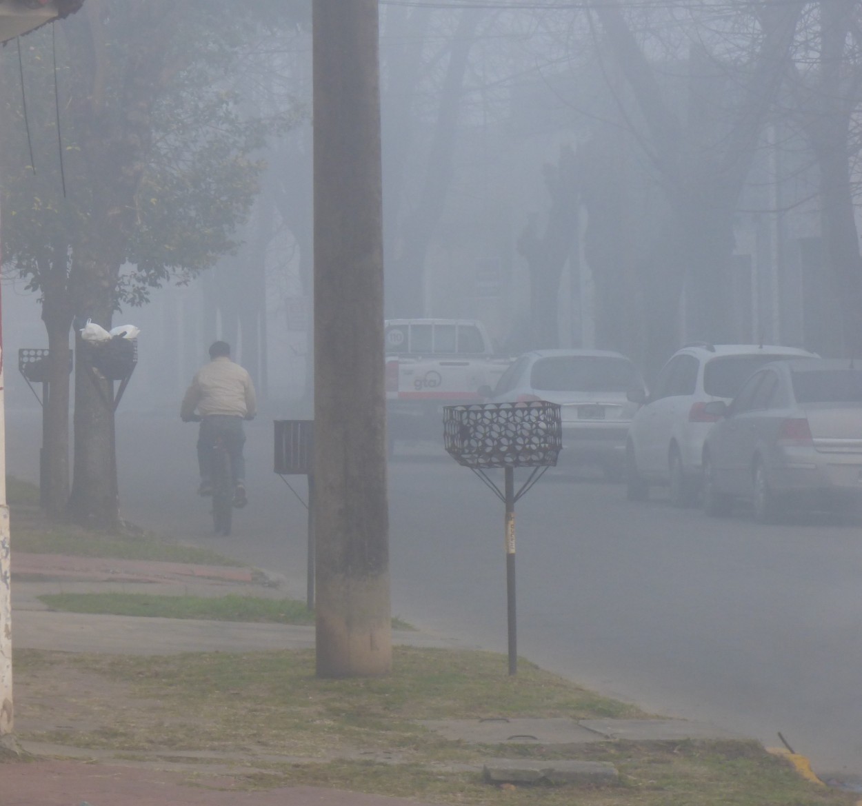 "` Bajo la niebla `" de Graciela Edith Flocco