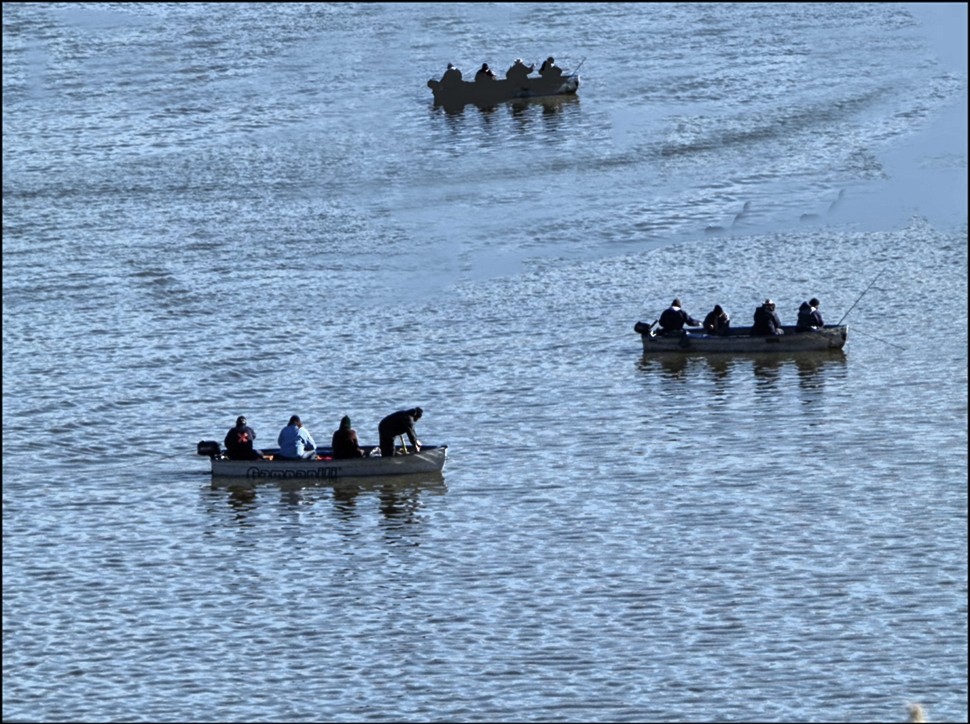 "CONCURSO DE PESCA" de Ruben Perea