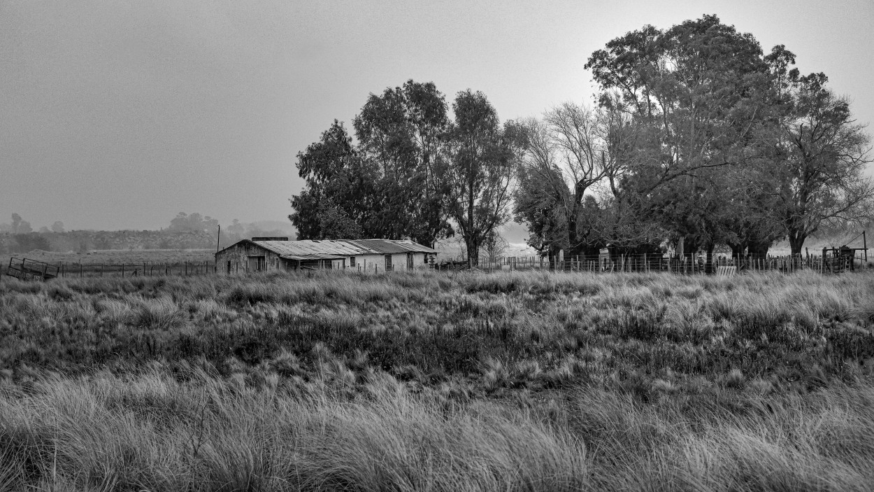 "Rancho largo" de Gerardo Saint Martn