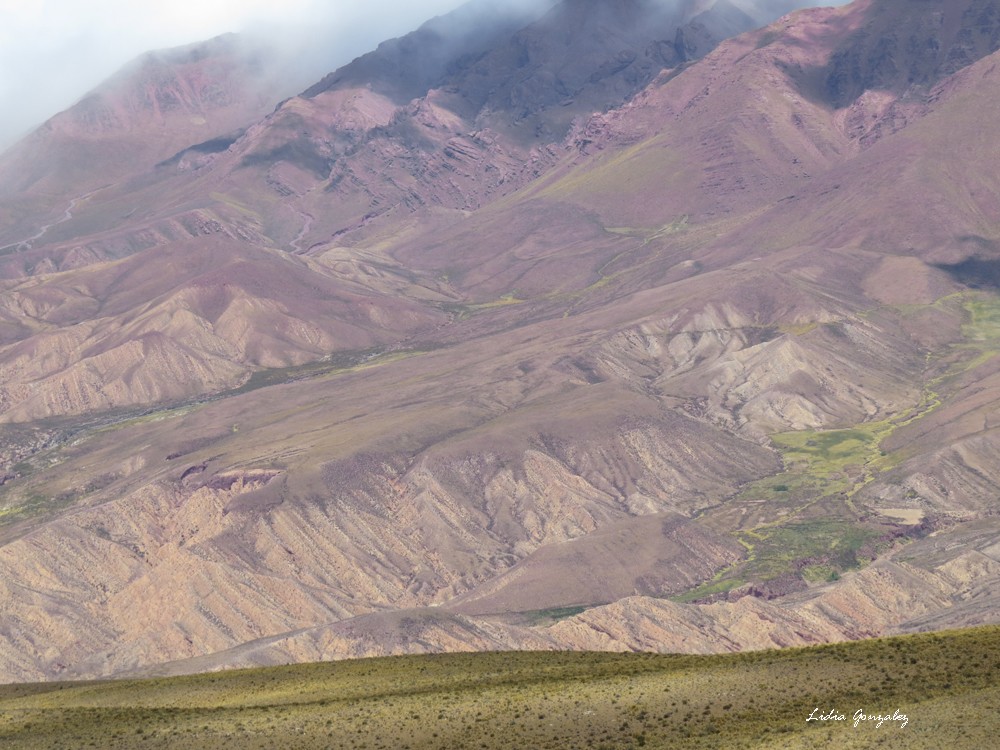 "paisaje Argentino" de Lidia Gonzalez