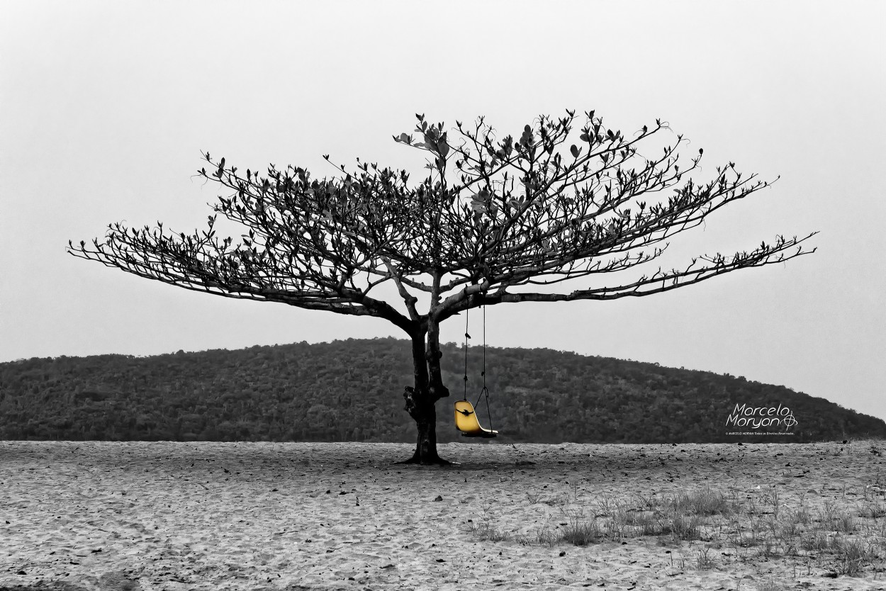 "Saudade, Silncio ou Solido?" de Marcelo Moryan