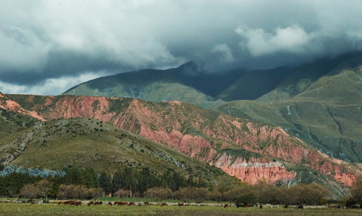 "rojo y verde" de Claudio Cogliati