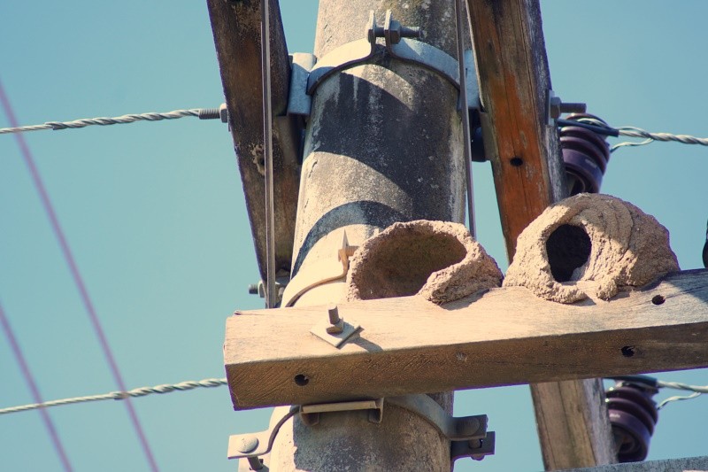 "`At tu natureza`,obras abandonadas!" de Decio Badari