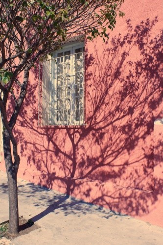 "Neste amanhecer frio, um olhar de luz e sombras." de Decio Badari