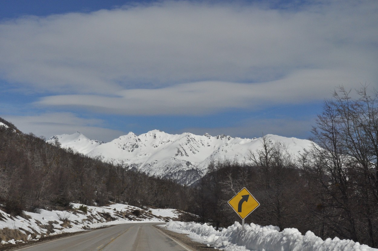 "Camino entre la nieve-1" de Alicia Di Florio