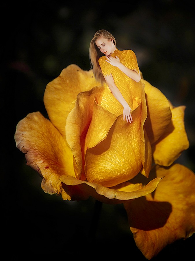 "La belleza de la flor" de Jorge Leonardo Galcern